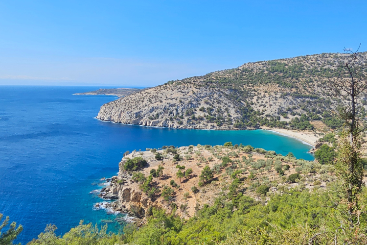 tasos-e8e79a.png